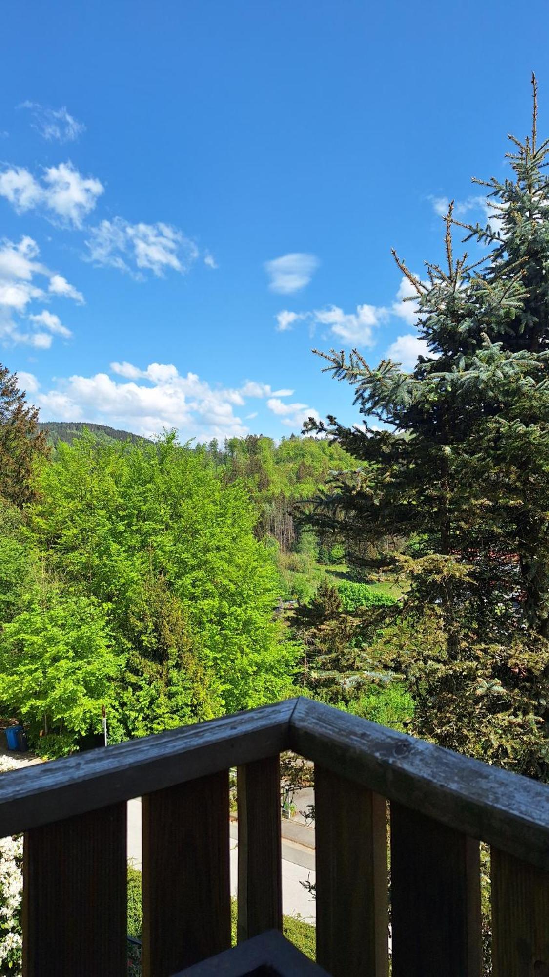 Haus Westharz Goslar Apartment บาดกรุนด์ ภายนอก รูปภาพ