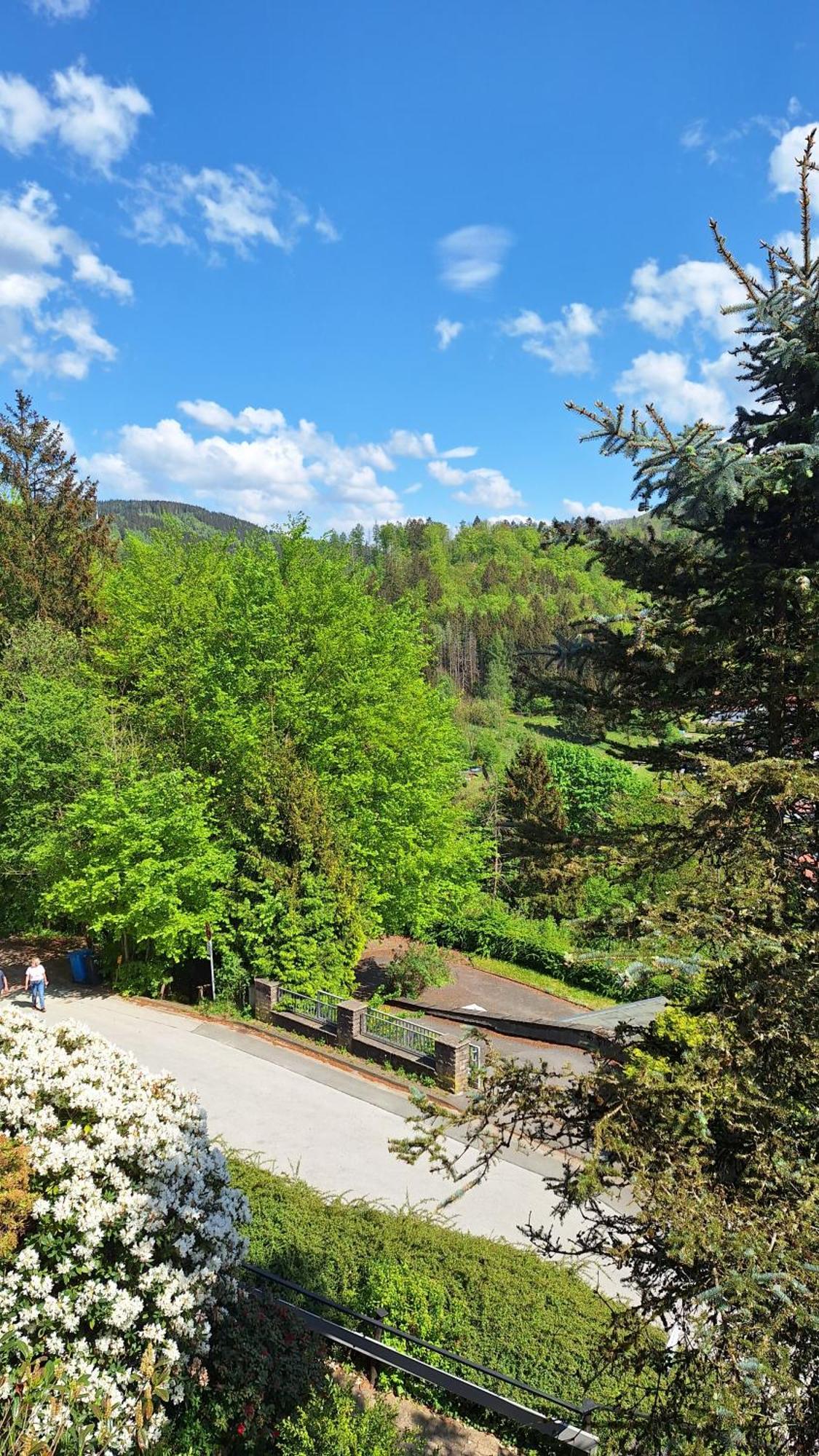Haus Westharz Goslar Apartment บาดกรุนด์ ภายนอก รูปภาพ
